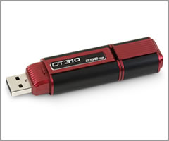 DataTraveler 310